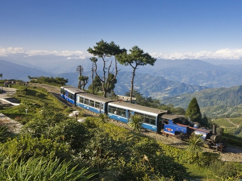 A picturesque view of Darjeeling, West Bengal, showing the famous toy train curving along lush green hills with tea gardens, colonial-era buildings, and the distant snow-capped Kanchenjunga in the background.
